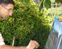 activitat 2009
