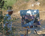 activitat 2010