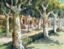 Jordi Pons Casals
