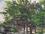 Mª Dolors Molina 